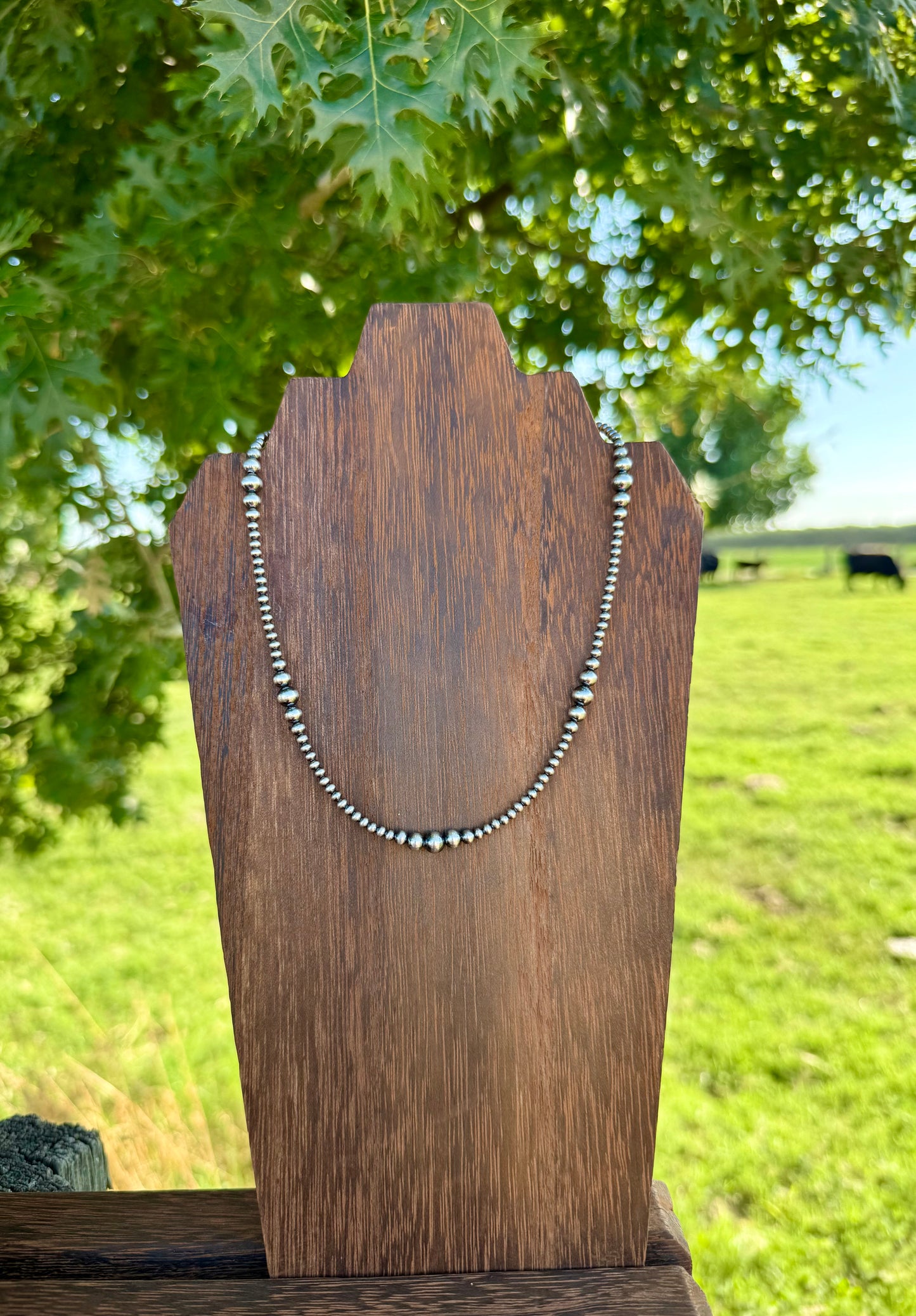 Silver Creek Necklace